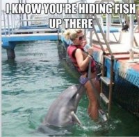 Dolphin-Fail-Funny-Meme-Picture.jpg
