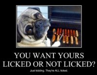 Dogs 00049.jpg