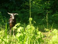 Copy (3) of Picture 064.jpg