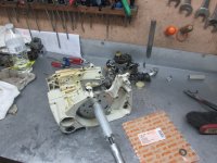 IMG_4416.JPG