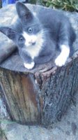 20170705_205615.jpg