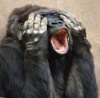 gorilla.png