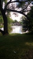 IMG_20170708_103854060.jpg