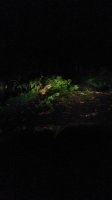 20170712_034212.jpg