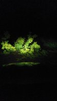 20170712_034157.jpg