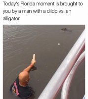 85406302.jpg