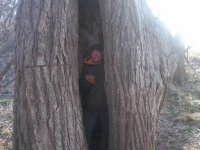 Big Holow Cottonwood2.jpg