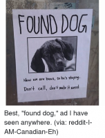 found-dog-now-we-are-bros-so-hes-staylng-dont-15250345.png
