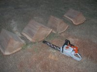 DSCN8267.JPG