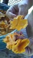 20170716_132024.jpg