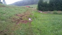 20170723_115920.jpg