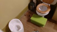IMG_20170723_093705062.jpg