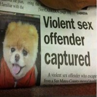 funny_news_headlines_13.jpg