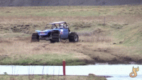 IMG_4579.GIF