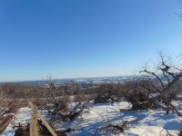 DSC01163.JPG