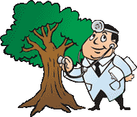 TREE_DOCTOR.png