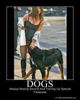 Funny-Animals-Picture-1.jpg