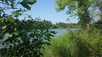 20170726_115529.jpg