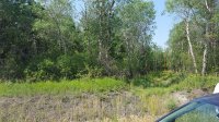 20170726_115000.jpg