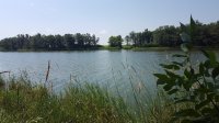 20170726_115532.jpg