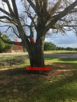 IMG_20170727_083837.jpg IMG_20170727_083837.jpg