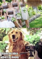 i-have-no-idea-what-im-doing-dog-photographer.jpg