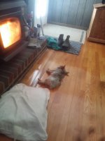 20170310_140932.jpg
