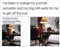 85421361.jpg