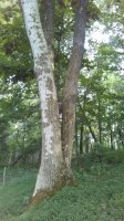 20170730_172315.jpg