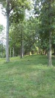 20170730_165553.jpg