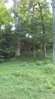 20170730_172204.jpg