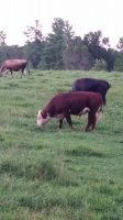 20170729_195058.jpg