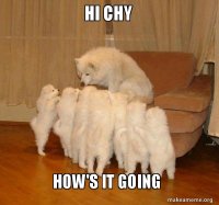 hi-chy-hows.jpg