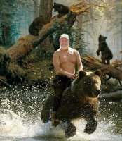 mmbear.jpg
