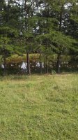 20170731_165607.jpg