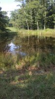 20170731_165348.jpg