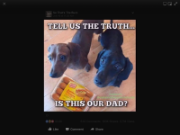 IMG_0692.PNG