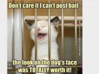 IMG_0757.PNG