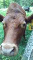20170731_162629.jpg
