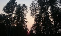 20170802_200530.jpg