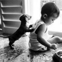 27d237e2e10b051c6507eace5e2daf50--bestfriends-wiener-dogs.jpg