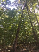 IMG_0400.JPG