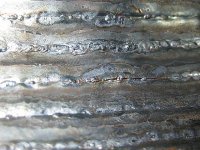 IMG_0050 (2).JPG