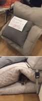 85430318.jpg