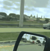 IMG_4828.GIF