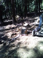 IMG_20170813_114651.jpg