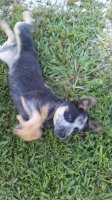20170813_181952.jpg