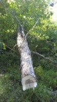 20170813_173653.jpg
