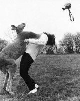 funny_photographers_33.jpg