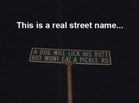 85435784.jpg